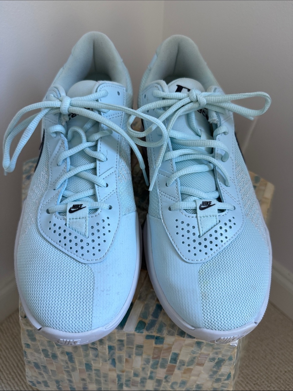 Nike Pale Blue Breathable Running Shoes